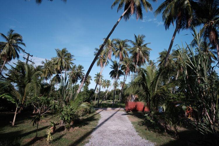 Coconut Tree Homestay Ban Wa Thon Exterior photo